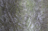 Ainderby Quernhow fibreglass roof work